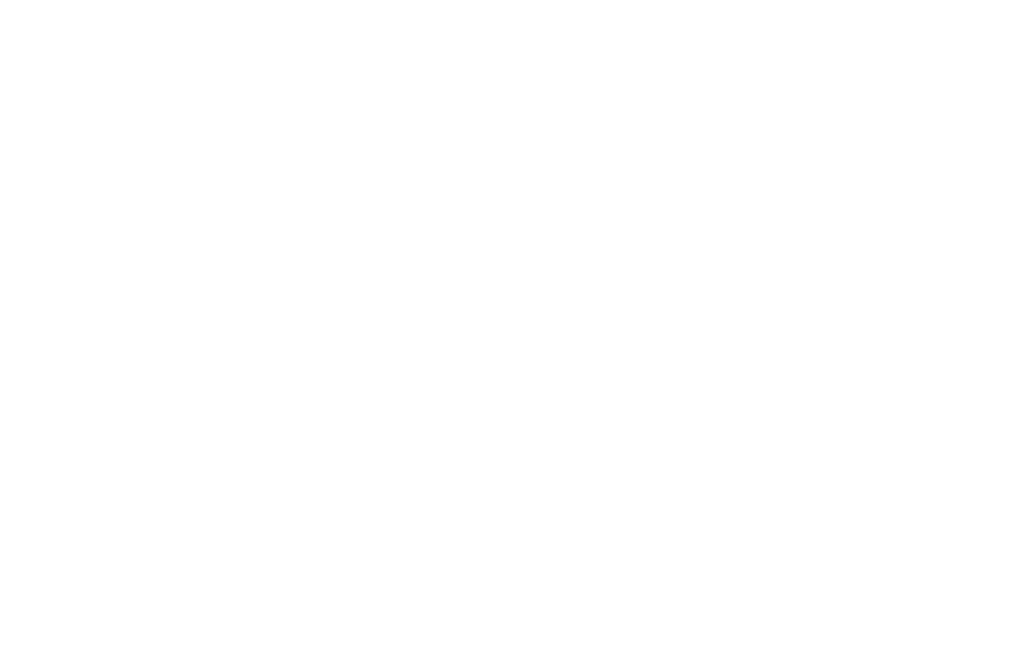 Wave Pole Studio Biarritz - Logo blanc